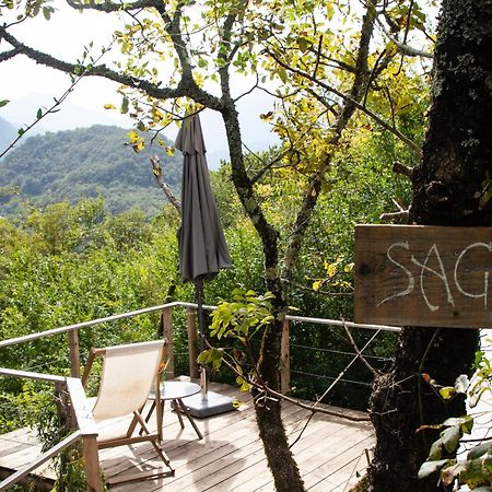 Hoopoe Glamping Hotell Virpazar Eksteriør bilde